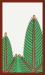tmp